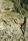 Dania, sydvæg 1975 gravegange ned i Cerithiumkalk